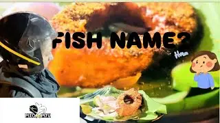 FISH NAME ? | pixu🛵piyu | MOTOVLOG | BANGALORE 
