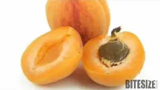 Apricot Choosing and Storing