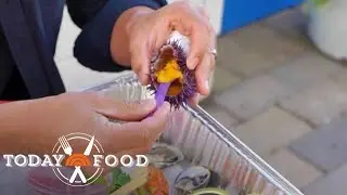 Purple Sea Urchins Are Being Turned Into A Delicacy To Save Kelp