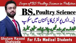 BS Poultry | Scope of BS poultry in pakistan | Career in animal Science | UVAS ingormation ||140