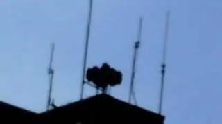 STH-10 short attack