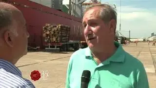 Exportaci&oacute;n de 22 mil toneladas de Madera a China - Puerto Concepci&oacute;on de Uruguay   Entre Rios   Car