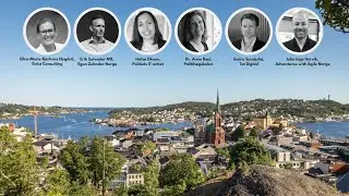Selvorganisering: Naivt ideal eller ny normal?