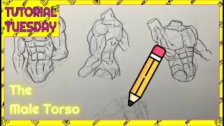 How To Draw The Male Torso | Tutorial Tuesday #52