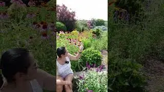 Lato - czas kwitnących roślin
