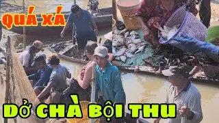 Dở Chà bội thu quá xá Tôm cá ,Bà Con vui vì điều này 