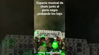 probando los bajo del perla negra en el espacio musical de chulo d&oacute;nde asisti&oacute; Grema music sound