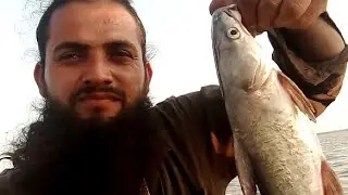 haji kasha k dory ka shikar