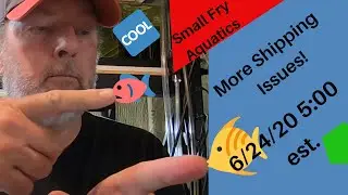 Small Fry Aquatics - 6/24/20 5:00 pm est.