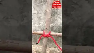 A Common Lashing Wood Knot You Must Know#LashingKnot #WoodLashing #KnotTying #RopeKnot #CampingKnots