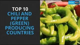 Top 10 Chili And Pepper (Green) Producing Countries