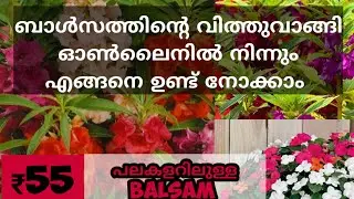 Balsam Seeds in Online Malayalam / Balsam Plants in Online / Balsam Plants / Plants Seeds in Online