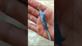 Nut Turned into a Fantasy Mini Hunting Knife