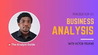 Beginner's Guide to Business Analysis: Understanding the Business Analyst Role.