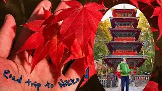 Nikko Japan 🍁 ( Autumn colors, temples and shrines 2020)