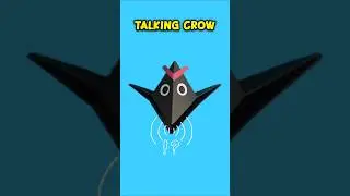 Easy Talking Crow 😍🐦&zwj;⬛