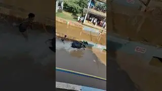 Kambala #kambala #trending #ytshorts #mangalore #south #village #race