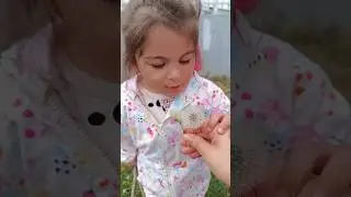 Masal &uuml;fledigin ne🫣😱😱 #sorts #masal #shorts #kesfeteyyiz #subscribe #cutebaby #reels #funny #baby