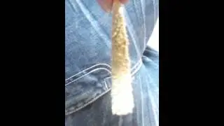 Trippy stix