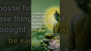 #Buddha#buddha hood#buddhist#love#buddha adviec#