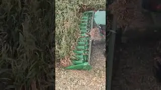 Corn Harvesting Machine at Work in the Field#harvest #corn #agriculture #farmmachinery