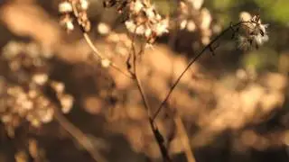 Dainese Mountain Bike 2012 with Karim Amour