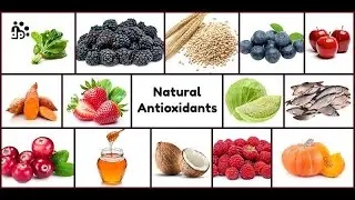 Natural Antioxidants: Prof. PK Mandal