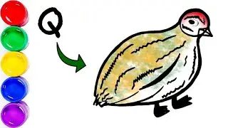 Q = Quail Easy Drawing || Q बाट बट्टाई चरा बनाउने सजिलो तरिका