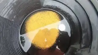 Gold Prospecting North Saskatchewan River found decent gold!!