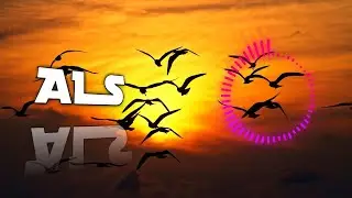 Chidiya Ki Udaan | Sapno Ki Azadi Ka Geet | Ashish Little Star
