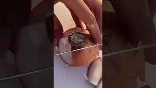 #fruit #fruitcuttingskills # #fruitfarming #fruitcutting #farming