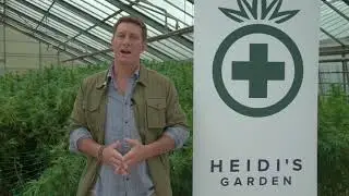 CW Hemp | Josh Stanley: 