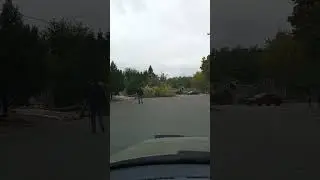 Спилили дерево прям на дороге