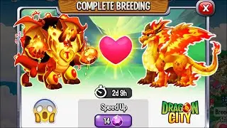 Dragon City: Corrupted Flame Dragon vs Double Flame Dragon [EXCLUSIVE BREEDING] 😱