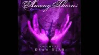 There Is No One - Among Thorns