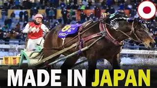 5 FAMOUS Japanese Horse Breeds That Will Blow Your Mind!!