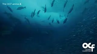 Ocean Climate Fund | Introduction