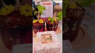 Delicious home made Cake Pastries muffins, jar cake, Chocolates etc | for order @bakewithlove05