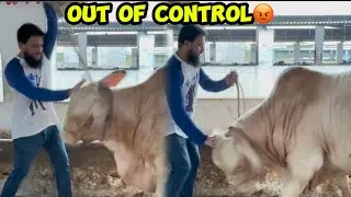 Sultan Out Of Control Ho Gaya 🥵 | Farm Pa Barish Sa Samander Ban Gaya