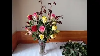 Cách CẮM HOA TRÒN ĐỀU bằng nước chuẩn bị đón tết_Flower arrangement ideas