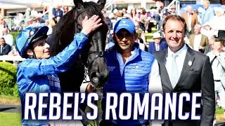 Rebel's Romance triggers lively debate about geldings