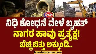 Lakkundi Treasure : ನಿಧಿ ಶೋಧನೆ ವೇಳೆ ಬೃಹತ್‌ ನಾಗರ ಹಾವು ಪ್ರತ್ಯಕ್ಷ!! ಬೆಚ್ಚಿಬಿತ್ತು ಲಕ್ಕುಂಡಿ..!
