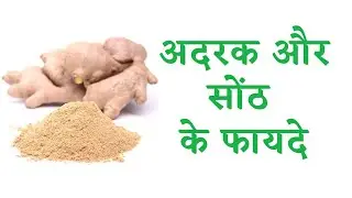 Ginger benefits / अद्रक और सोंठ के फायदे / Dry ginger benefits/ Ginger powder