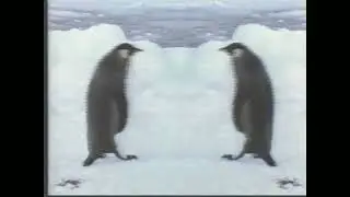 Реклама лёд-пластилина Safe Step &laquo;Walk Like A Penguin&raquo; 1996 года