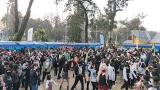 DREAMERS FEST, CURICÓ CHILE | K-POP IN PUBLIC | RANDOM PLAY DANCE