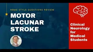 Pure Motor Lacunar Stroke | NBME Style MCQs