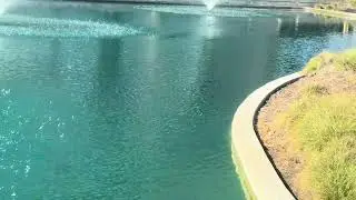 I was looking at the other sprinklers