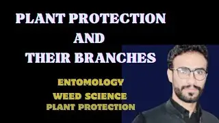 Plant protection and their Branches