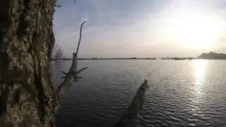 Cwm Ivy High Tide 2015