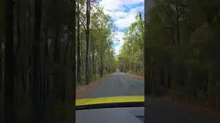 #driving# #nature#australia#perth# 🛣 🏜 🏞 🫶 🌳
